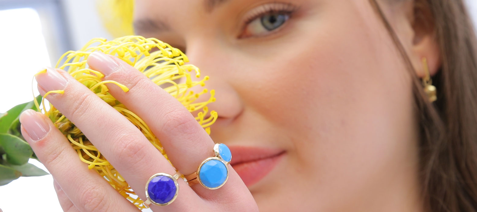 Croesus - Discover Brill Collection